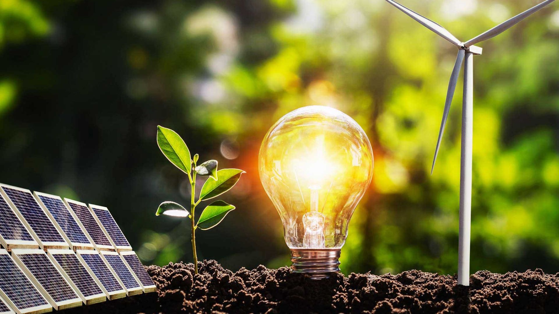 Los avances en tecnología de la biotecnología y su impacto en la industria de la energía renovable. - Revista Enred - Noticias de Tecnología y Negocios Ecuador