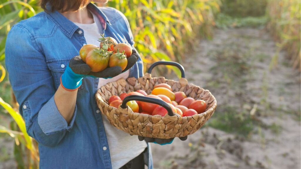 Innovaciones en Agricultura y Dietas