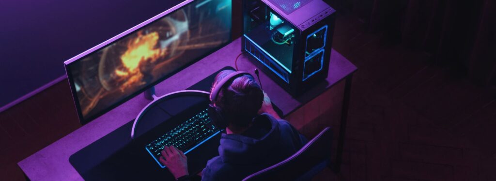 La Seguridad en los Videojuegos Online