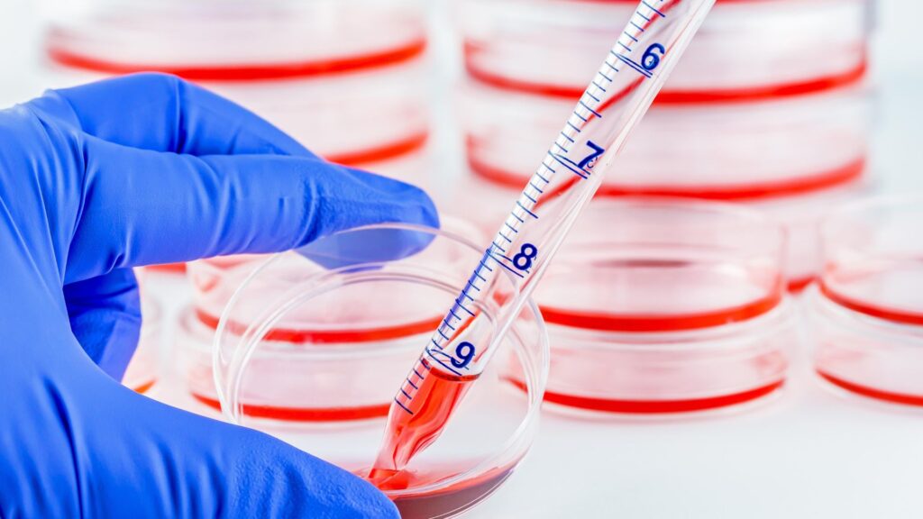 Descifrando el Microbioma Humano
