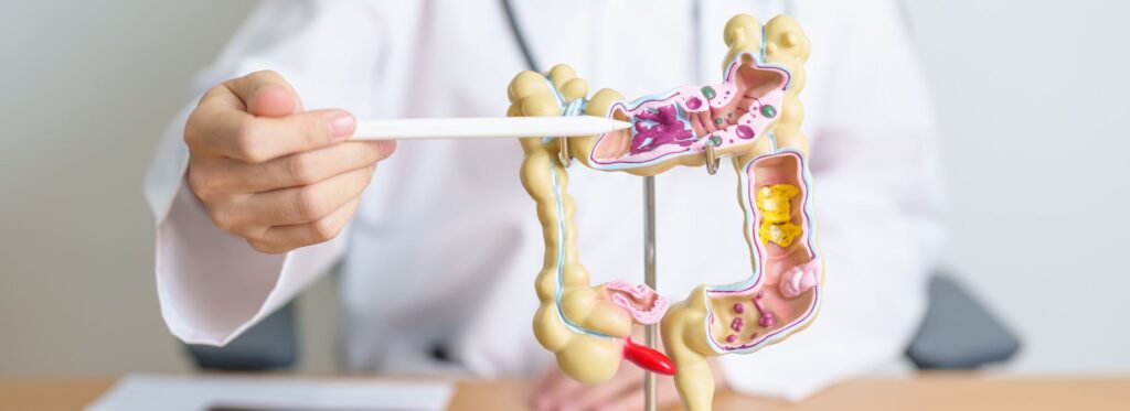 Descifrando el Microbioma Humano
