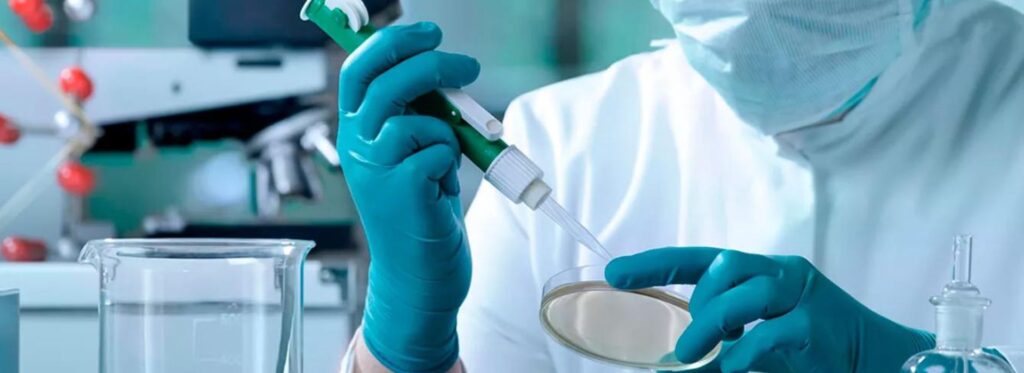 El Futuro de la Medicina Regenerativa