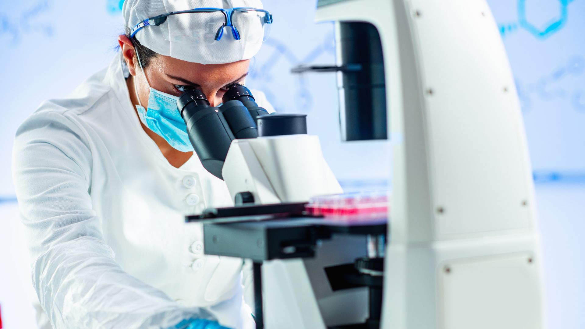 El Futuro de la Medicina Regenerativa