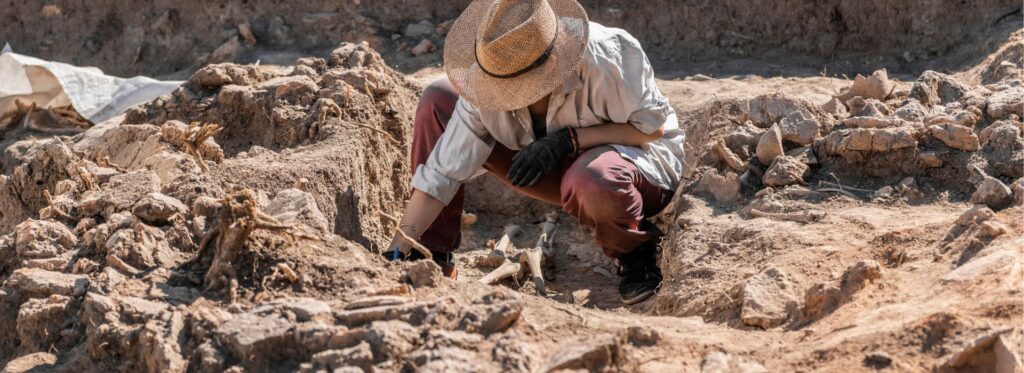 Descubrimientos Recientes en Paleontología