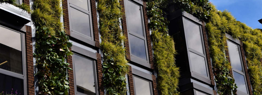 El papel de la tecnología en la lucha contra el cambio climático